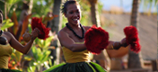 Havajské ostrovy - ostrov Havaj - tanečnice